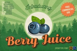 Berry Juice Font Review