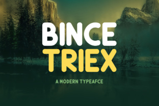 Bince Triex: A Font for Business Success