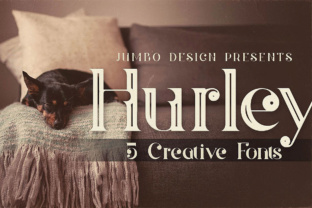 Hurley: A Bold Display Font