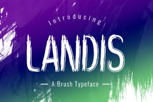 Landis: A Playful Display Font