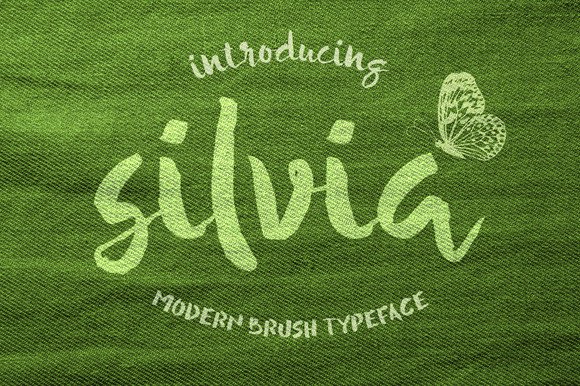 Silvia: A Charming Font for Creative Campaigns