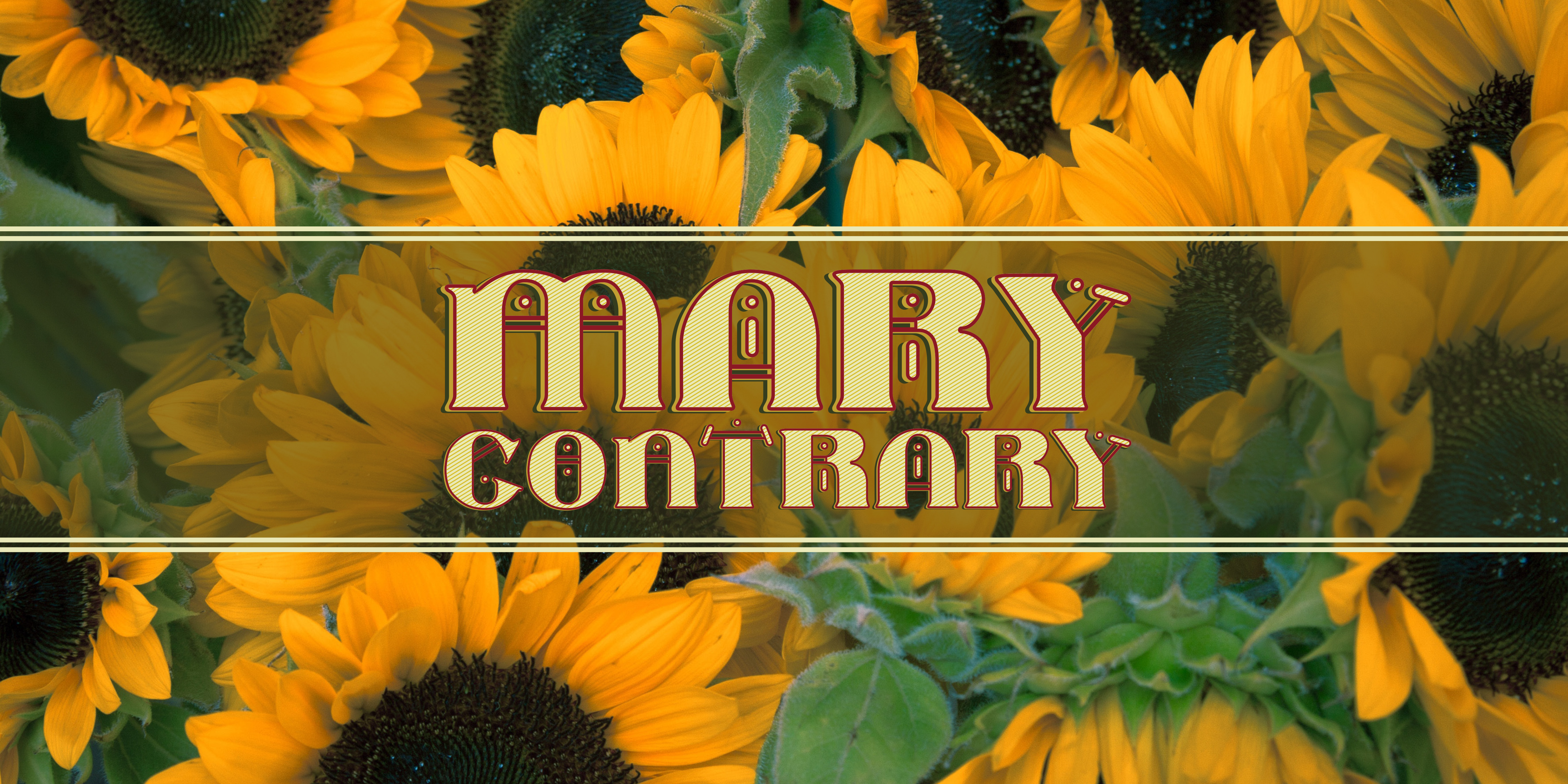 Upgrade Your Brand With Mary Contrary
